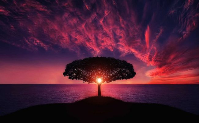 flight-landscape-nature-sky-36717 (1) tatuaggio sole